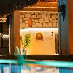 Hotel Blanco *